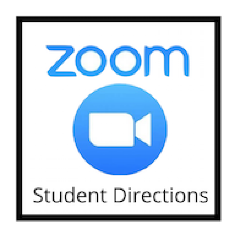 student directions for zoom